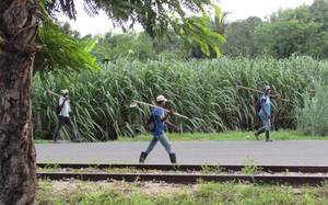 “Tú amas la justicia y odias la impiedad” (Sal 45, 8)