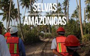 El derroche de la creación: el Nº4 de la Revista Selvas Amazónicas