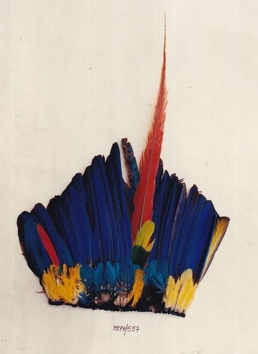 plumas museo dominico amazonico