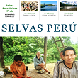 Boletín nº 5 de Selvas Perú